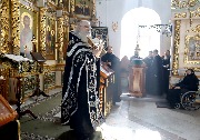 IMG_5017.JPG