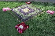 DSC_0227.JPG
