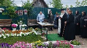 IMG_9284.jpg