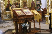IMG_5558.jpg