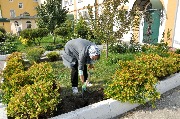 DSC_0716.JPG