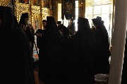 DSC_0680.JPG