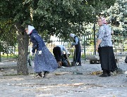DSC_0707.JPG