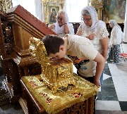 IMG_7782.JPG