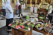 DSC_0122.JPG
