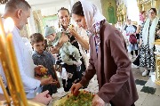 IMG_3517.JPG