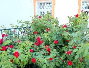 IMG_8914.JPG
