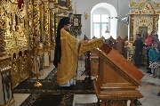 DSC_1033.JPG