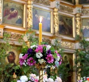 IMG_8935.JPG