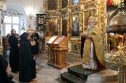 IMG_6950.JPG