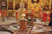 DSC_2879.JPG