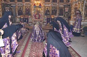 DSC_0791.JPG