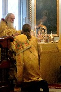 IMG_7011.JPG