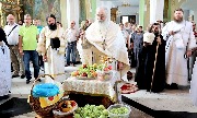 IMG_3441.jpg