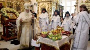 IMG_9979.jpg