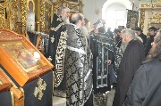 DSC_0590.JPG