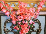 IMG_3105.JPG