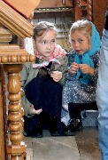 IMG_3334.JPG