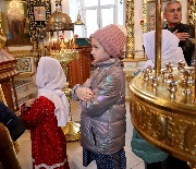 IMG_7071.JPG