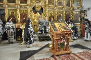 DSC_0027.JPG
