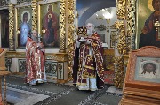 DSC_0522.JPG