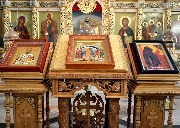IMG_9311.JPG