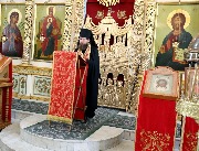 IMG_8430.JPG