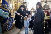 IMG_2331.JPG