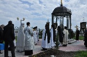 DSC_0445.JPG