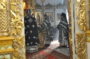 DSC_0195.JPG