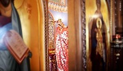 IMG_2949.jpg