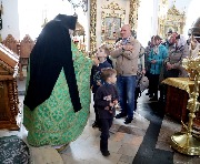 IMG_4603.JPG