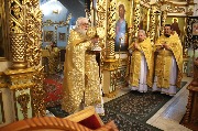 IMG_4272.JPG