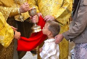 IMG_9484.JPG