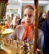 IMG_2729.JPG