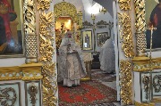 DSC_0118.JPG