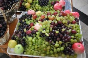 DSC_0126.JPG