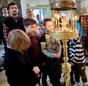 IMG_7038.JPG