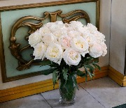 IMG_2355.JPG