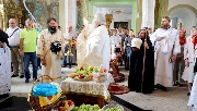 IMG_3443.jpg