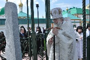 DSC_0501.JPG