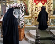 IMG_7697.JPG