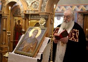 IMG_5564.JPG