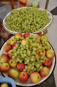 DSC_0167.JPG