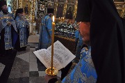 DSC_0046.JPG