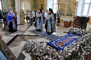 DSC_0133.JPG