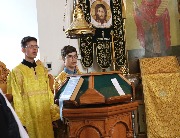 IMG_2631.jpg