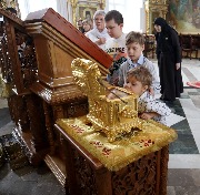 IMG_7774.JPG