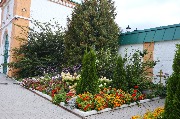 IMG_2682.jpg