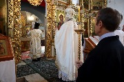 IMG_3355.JPG